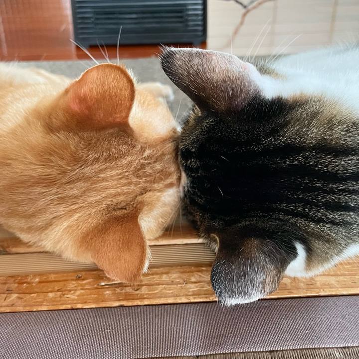 8763a939 bfb8 4786 b385 b89ac47e932e 1771490985969