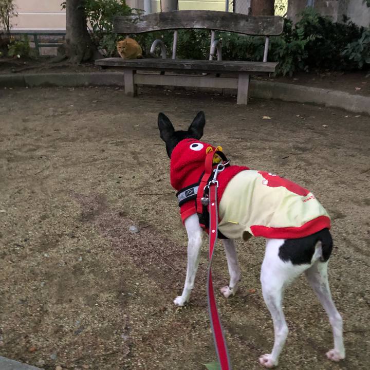 8763c942 b353 4ef8 aa77 cd5503026927 1544743195011