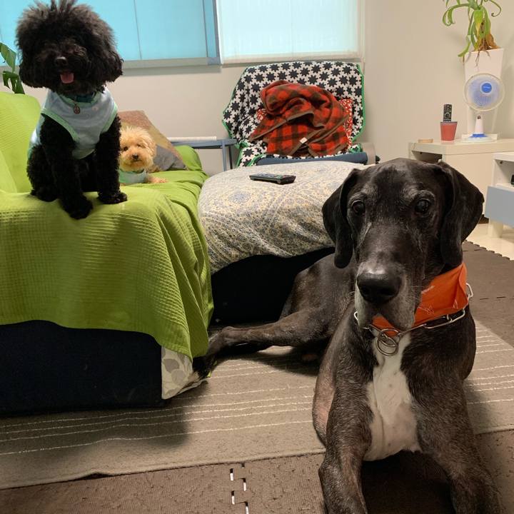 8763f20d 5b86 4e65 9405 7fd32532bbf3 1565652001317