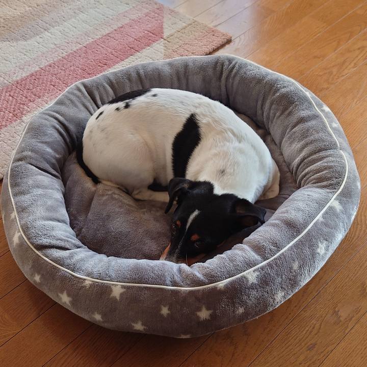 87645468 fd94 483a a7bf ef5bc5b6ddc4 1699960200432