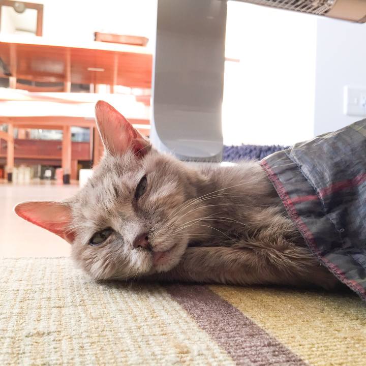 8764810a 32cb 4c3a a93c 8f9b6f577e2c 1547450647114