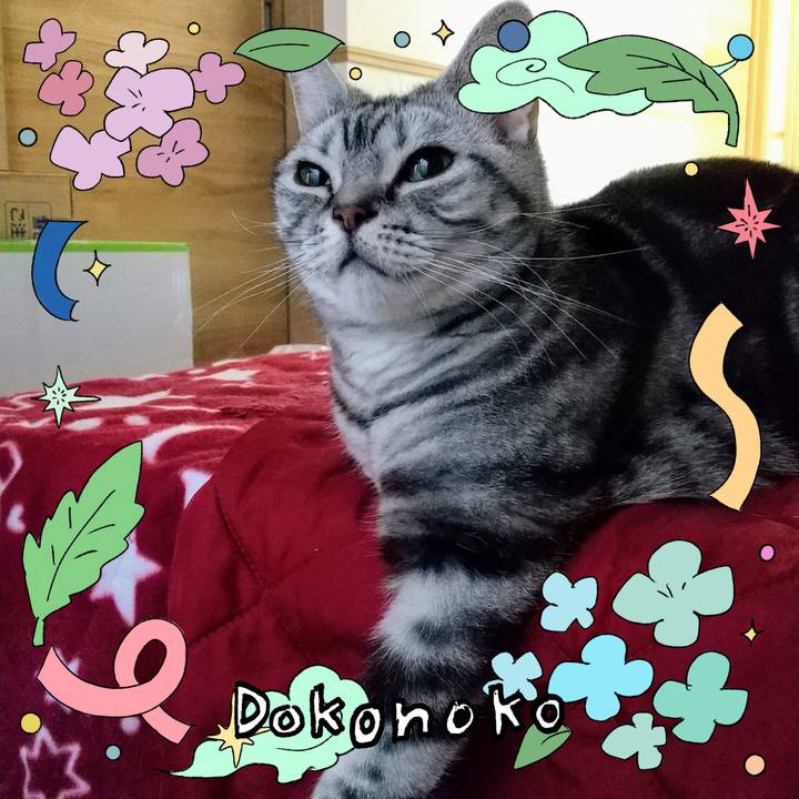 87648cab d601 437f 89fa a3e5381a598c 1717585245492