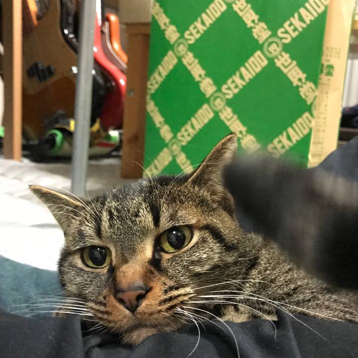 87649b73 fe20 489f 975e cbd9ebaef5a7 1514260616982