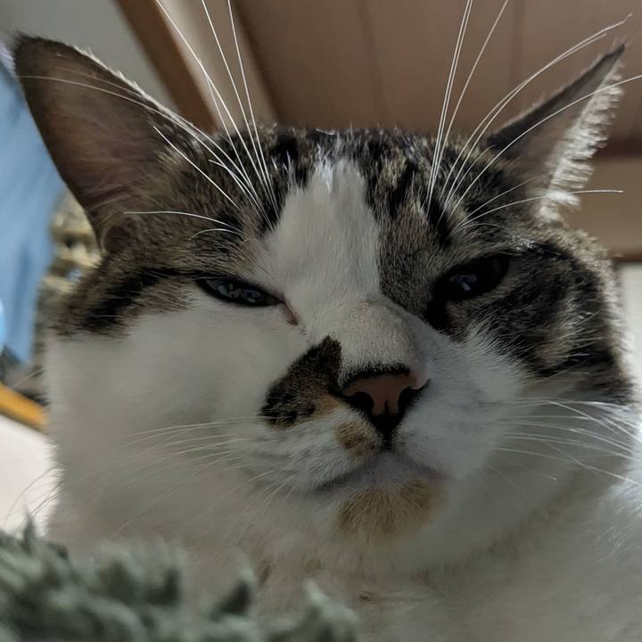 8764df9a 3693 42cd 9fc9 9781e5b1364b 1699746207063