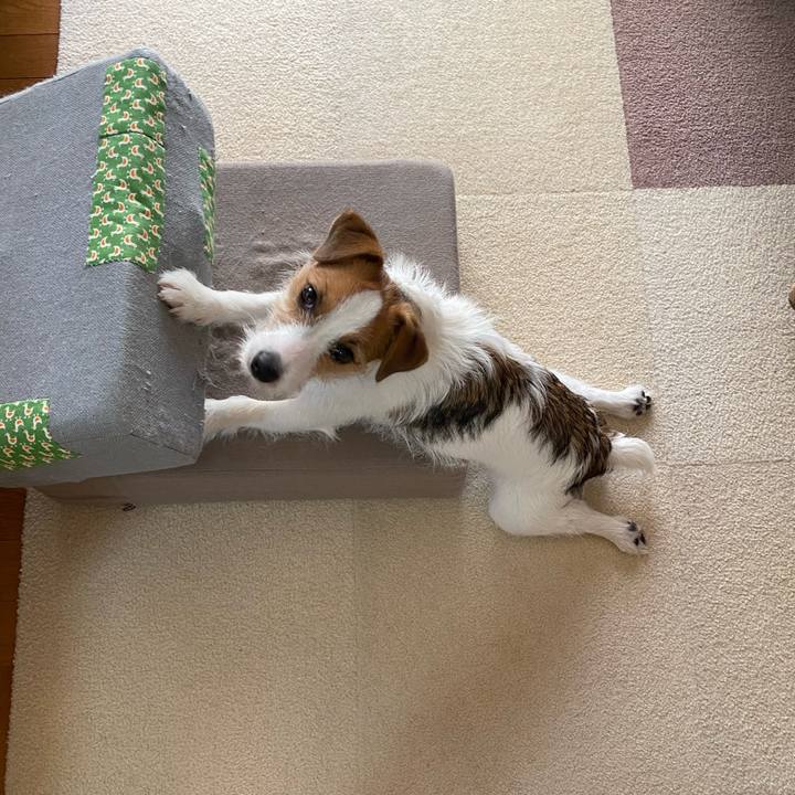 876528a4 3fa1 456c a91f 8ff493932f86 1630129947608