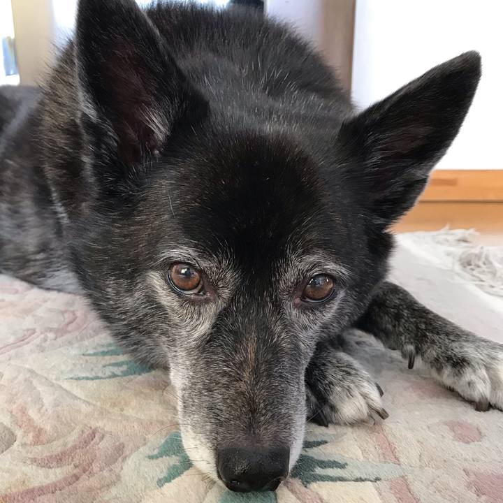 876548fa 87d8 4514 845f 9159a8f9a3d5 1573735588291