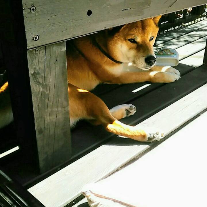 87656857 1d0f 451e 8700 8632e5e15d54 1555382122609