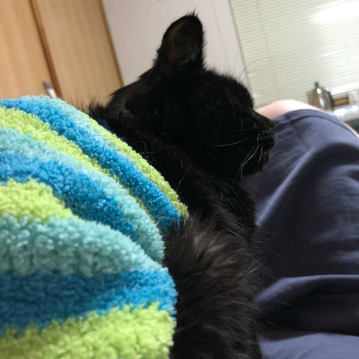 8765694c 4fb7 4f64 8d2b 86b91b8a3861 1647459102313