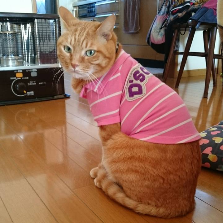 87657608 afb7 4b2d b3b7 97ee902a3e71 1543114421126