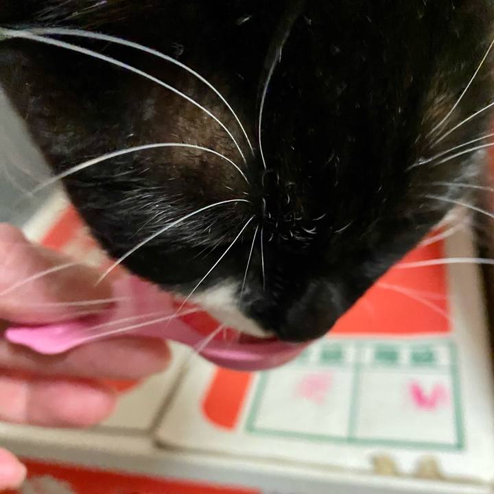 87657f6a 9f26 4fb8 a14e 13ec5058bdb0 1674567206741