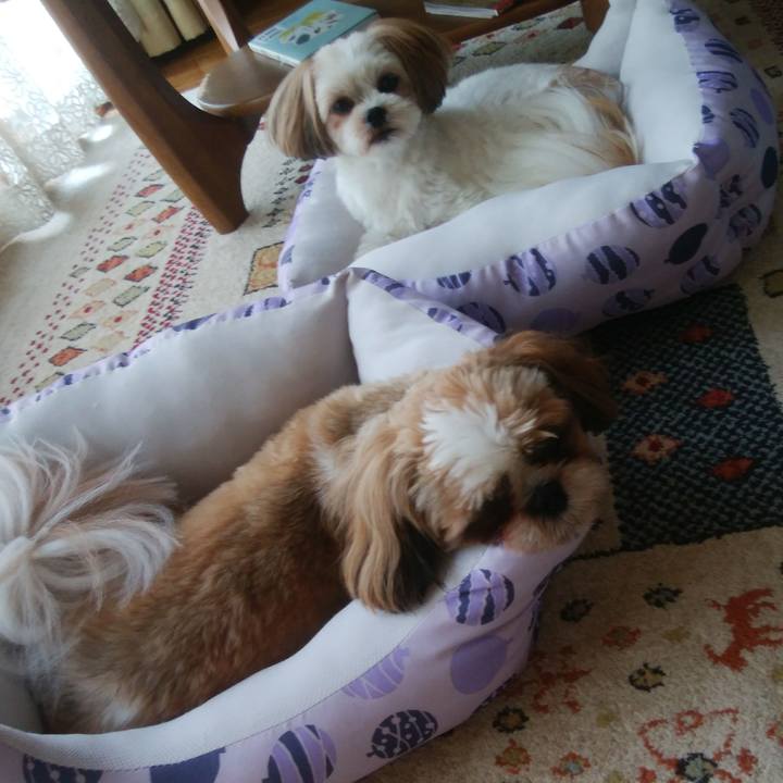 87659b12 7131 4cb3 ae81 4ed6c21ecfc6 1564794038839