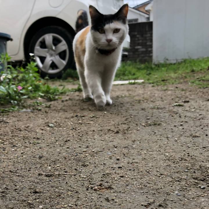 87659d71 2c5c 4f4e b0a8 d8395f7a560d 1619820401942