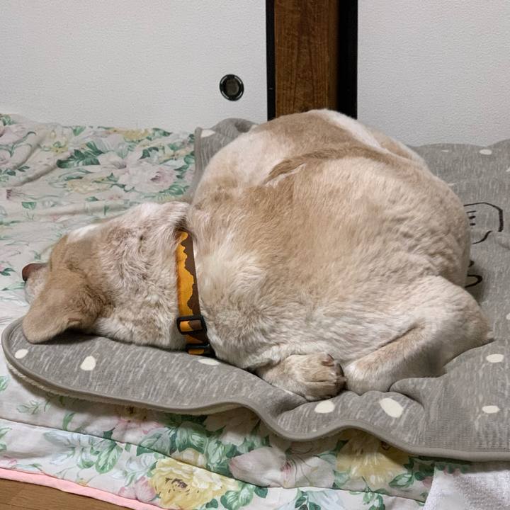 8765c098 a07c 4a6d 91fe 0499fd1f3b89 1583074839619