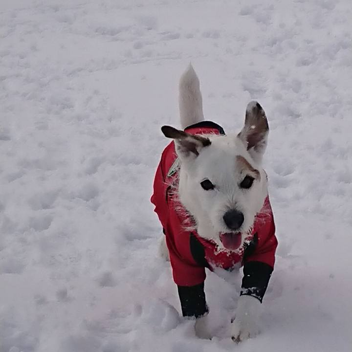 8765e1b4 ad64 43be 896f ed93edb9b12a 1549268843687