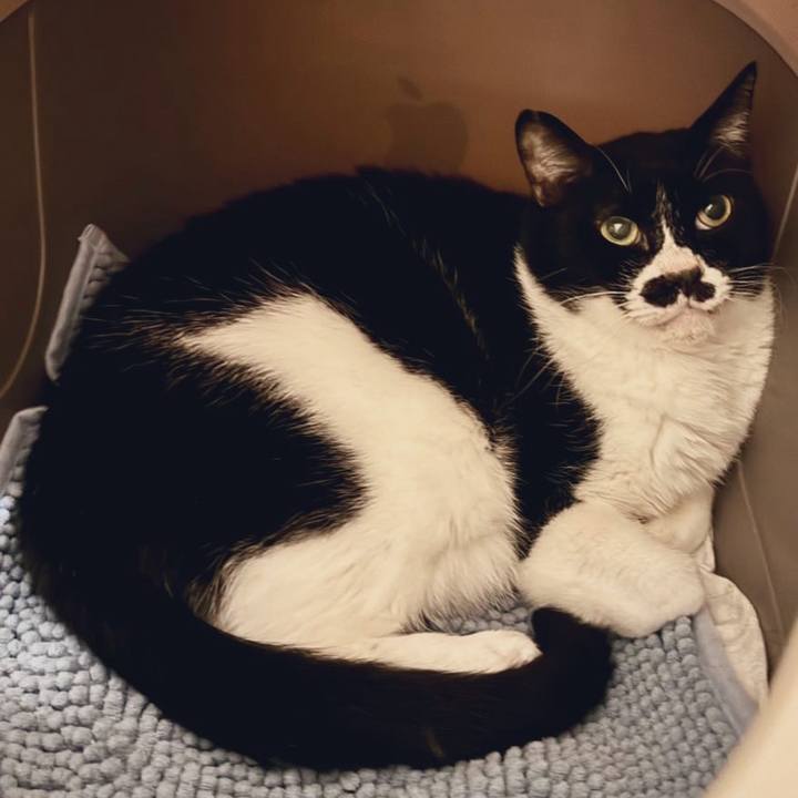 8766160d 862b 433b ba54 9e5bd06ab244 1731542907279