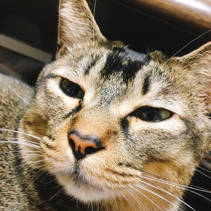 87663461 fd21 454b ad50 f4e7b11ef4f4 1550245411806