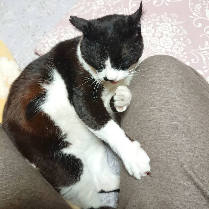 87663d6e c623 49e1 a530 dfbe328f82f4 1619352579684