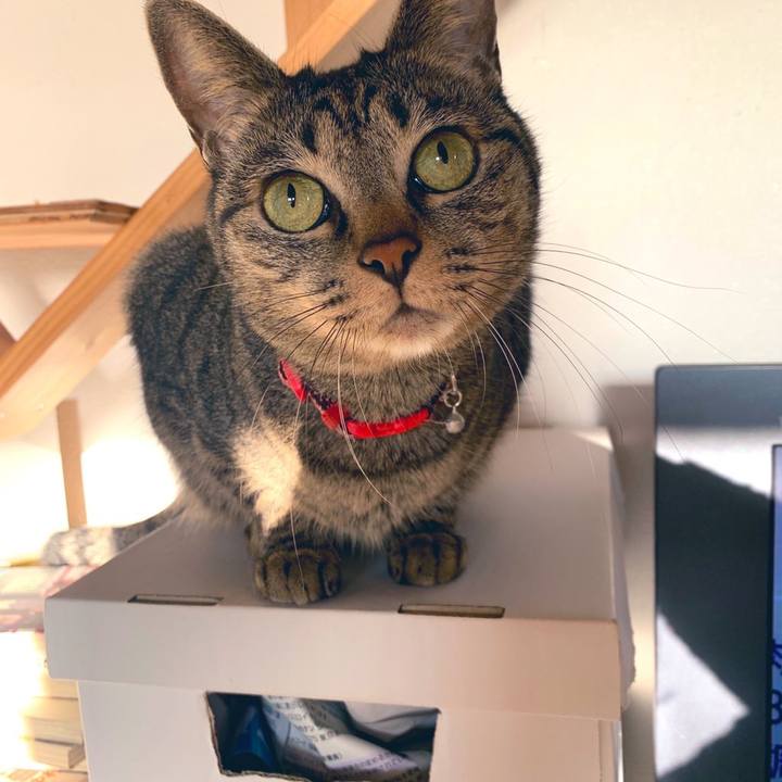 87664395 cac5 4836 a088 1c091c5bf13b 1576759599817