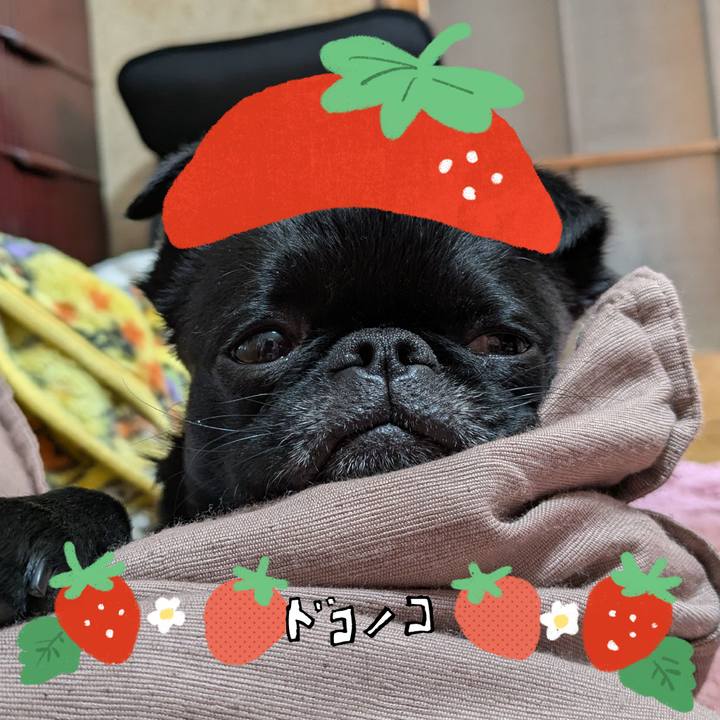 87669503 2751 4925 9660 fad2e7923f3c 1775182790509