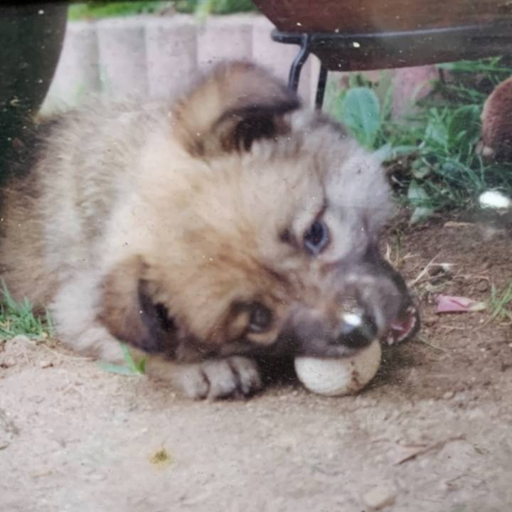 87669641 5259 4c2a 92b3 7302bf9b764e 1586337877893