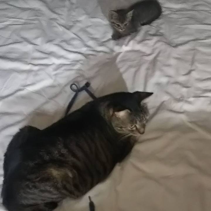 8766a6f1 99f6 45be aa6f b50aa6a5c745 1632834687498