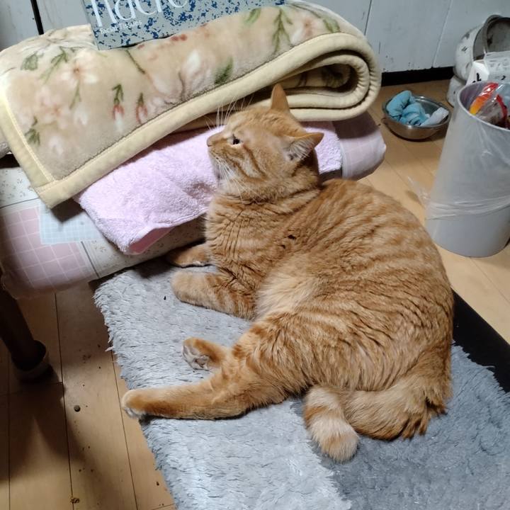 8766f8a0 25e8 411f b069 653929dc96cf 1671663370485