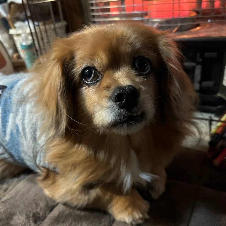 8766fd1a 60f2 4f14 bdc7 c325fe6eafc6 1736372493221