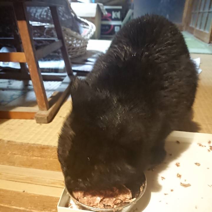 876701fb b846 4302 aff5 468ff6415144 1616925600965