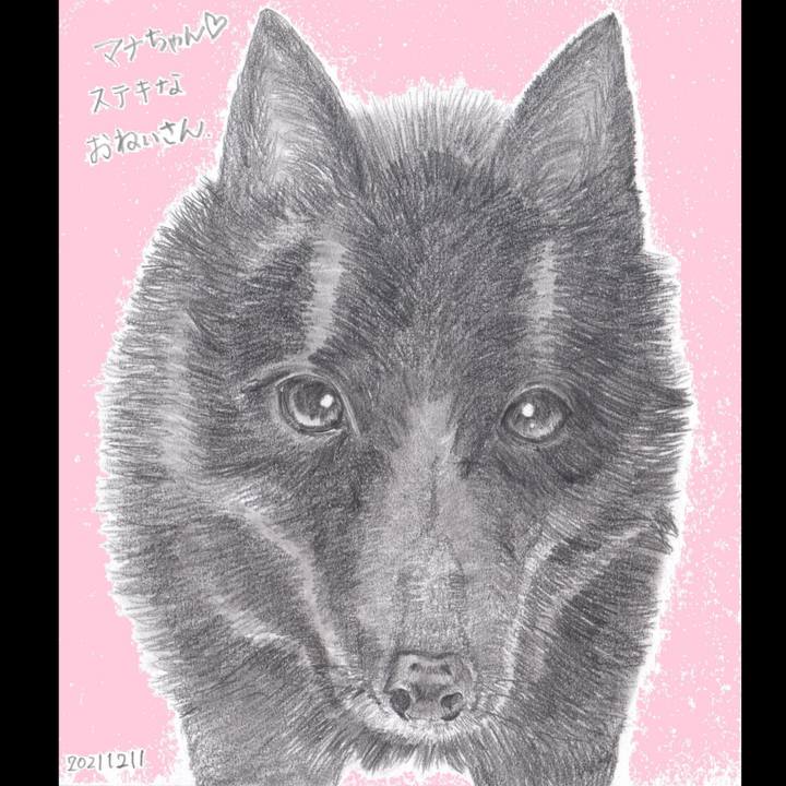 876766a0 94ba 46c3 885e 78fdb2a9df21 1639222123509