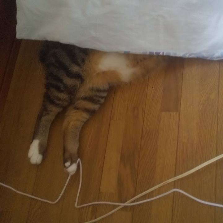 8767aa82 2c75 436c b0f3 21929d1c7b8f 1752548413560