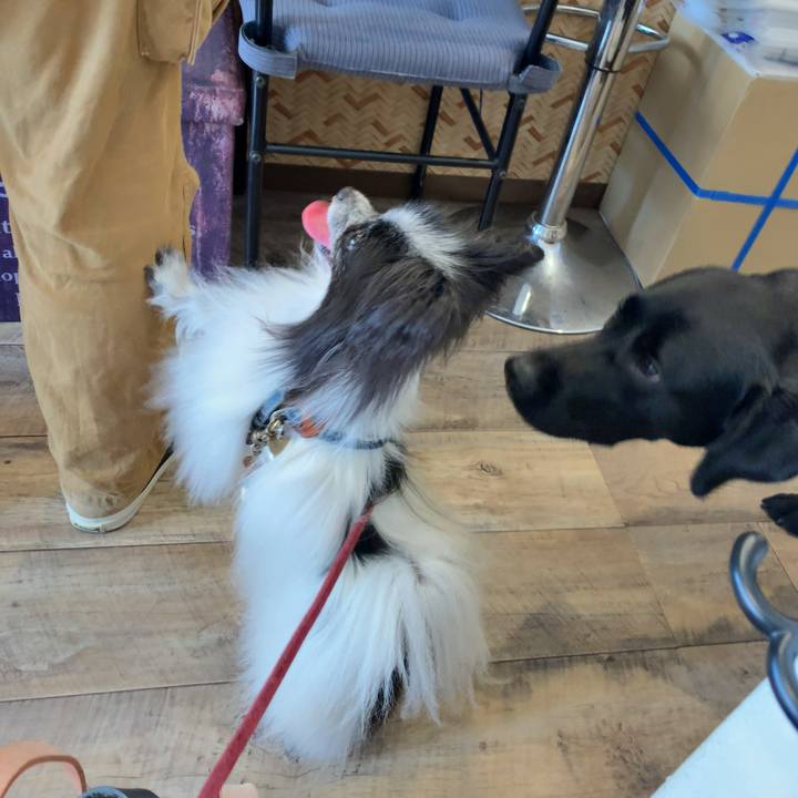 8767c4d6 ea7c 4b2b bc33 ab9f8a922884 1598765955749