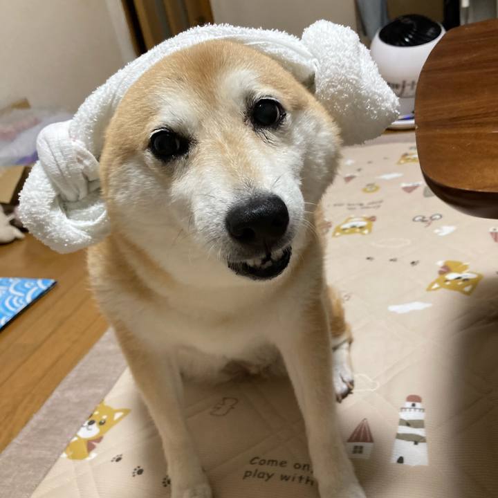 87681684 8953 4d87 bc71 bf2545811385 1625875189238