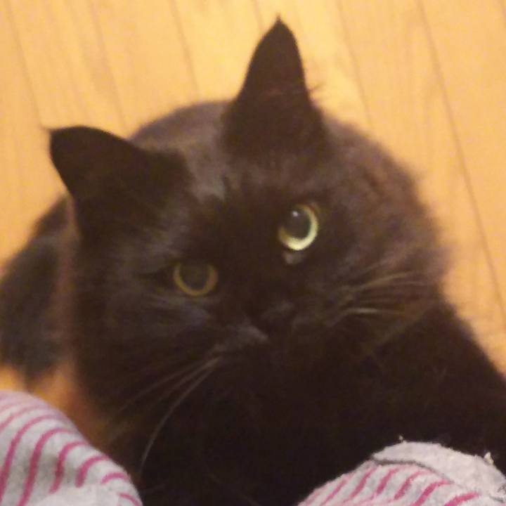 876826bf 91b4 4bed b197 d2b14c381db7 1520690124932