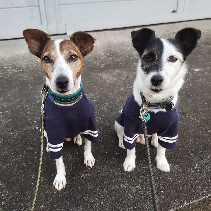 87684777 5243 4a1c a1ed cdb2e38b1f0f 1758059435507