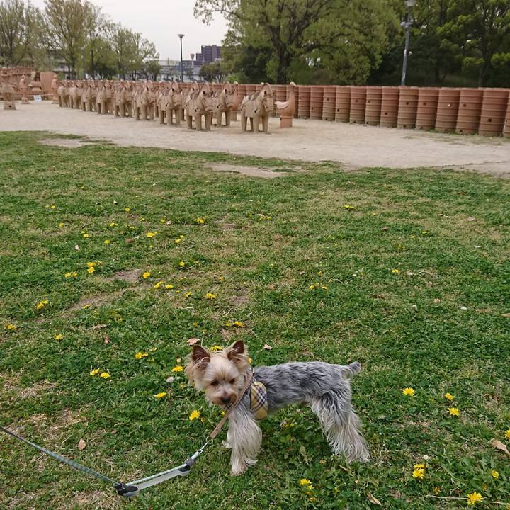 87687b3d 0fc0 4144 a95b 8d1939ebb1d5 1523246102272