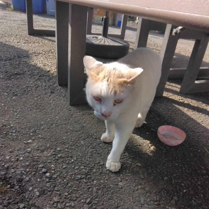 8768898d 0075 4203 a68f e0e2a1e3c8ec 1726792164409