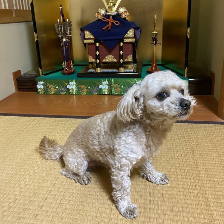 876892bf 3a49 4d49 b73c 0faff6489fff 1588684481263