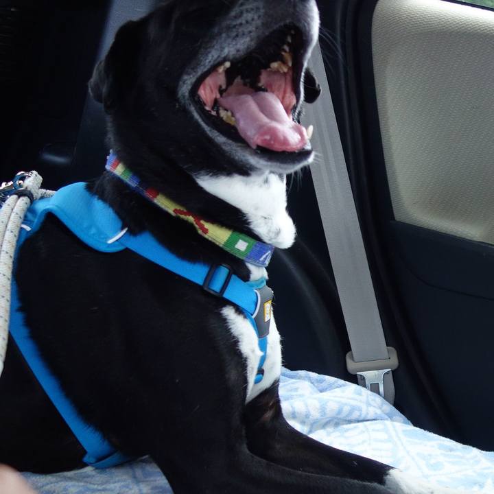 87689339 a3bd 45f4 b5c8 c23d9a396933 1687171837535