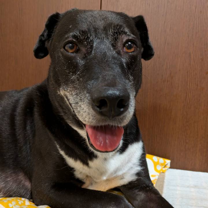 8768d5b3 cbed 4c74 a5ef 4060c960ac12 1729334162893