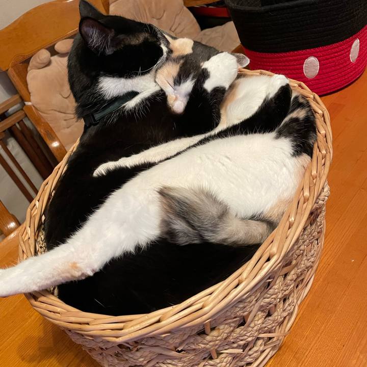 8768de42 a4c2 4a70 b134 07d66b0784cf 1741000997944