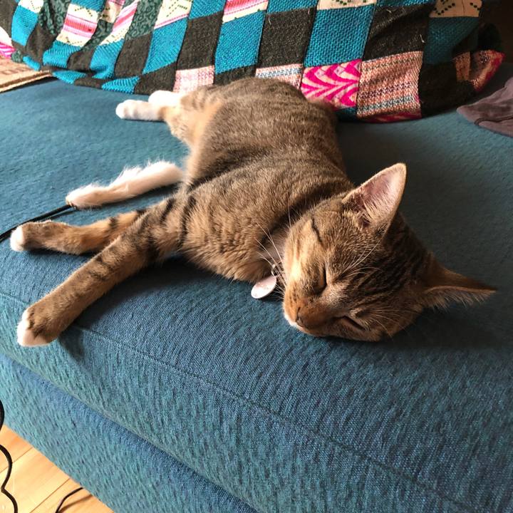 8768ed47 d64a 4b34 b096 ff55462851d2 1569070359451