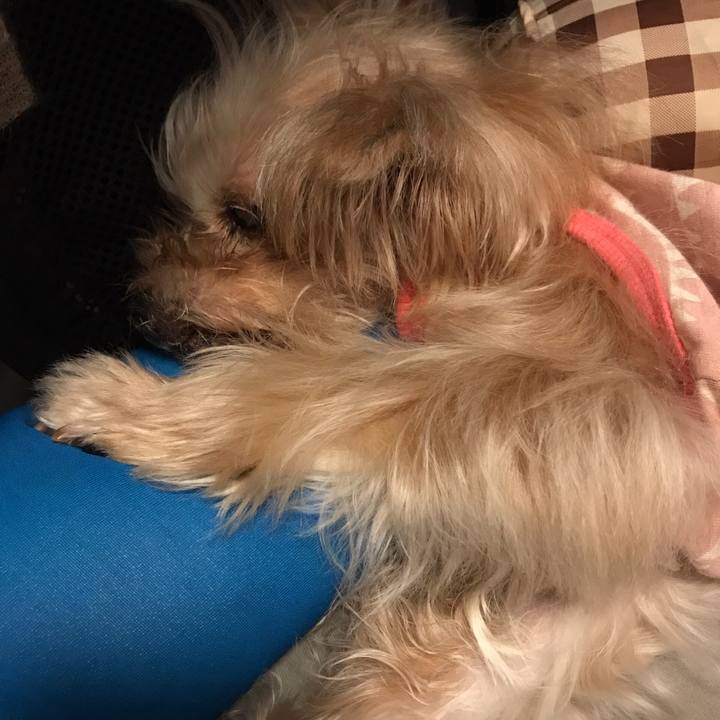 8768fb63 be52 4c8d 850d 36333d42b92a 1565629816270