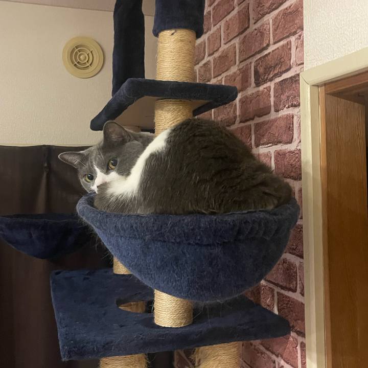 87694595 445b 49e6 8412 147920a5c6f7 1689246398682