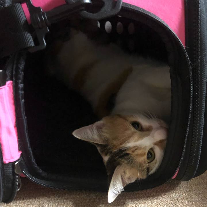 876948ce 297f 4972 b950 2bd4e3bc6cba 1598916851854