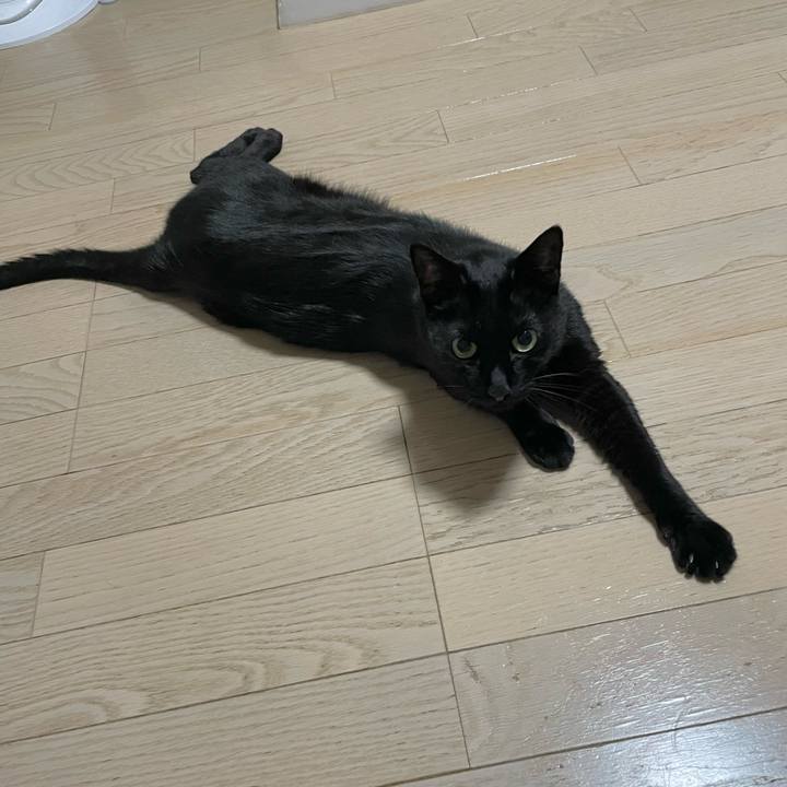 87695399 49c6 4752 a5d0 201dc293b568 1725886107050