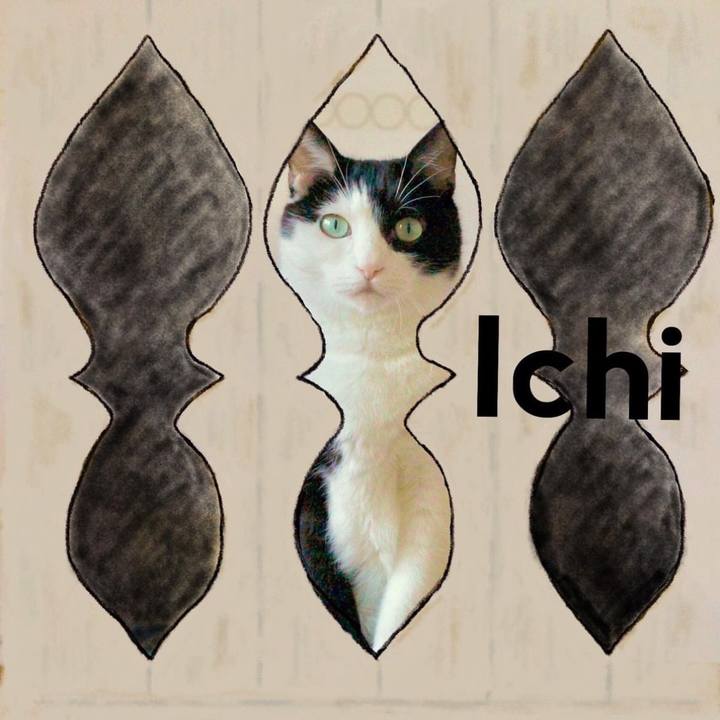 87695d2c c091 4a89 837e c2f3c15e1b13 1711930199021