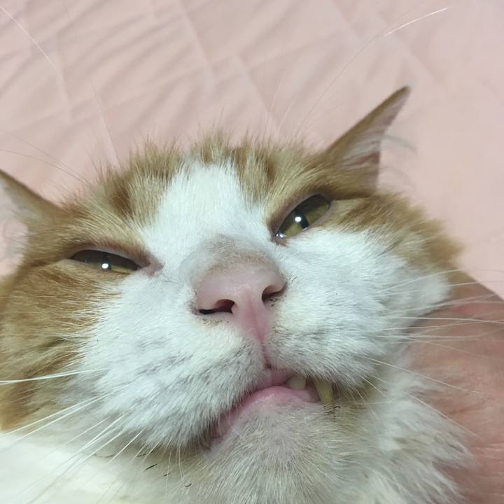 87696b1d 0a12 4b30 89bf aad7a71cd21d 1563776883529