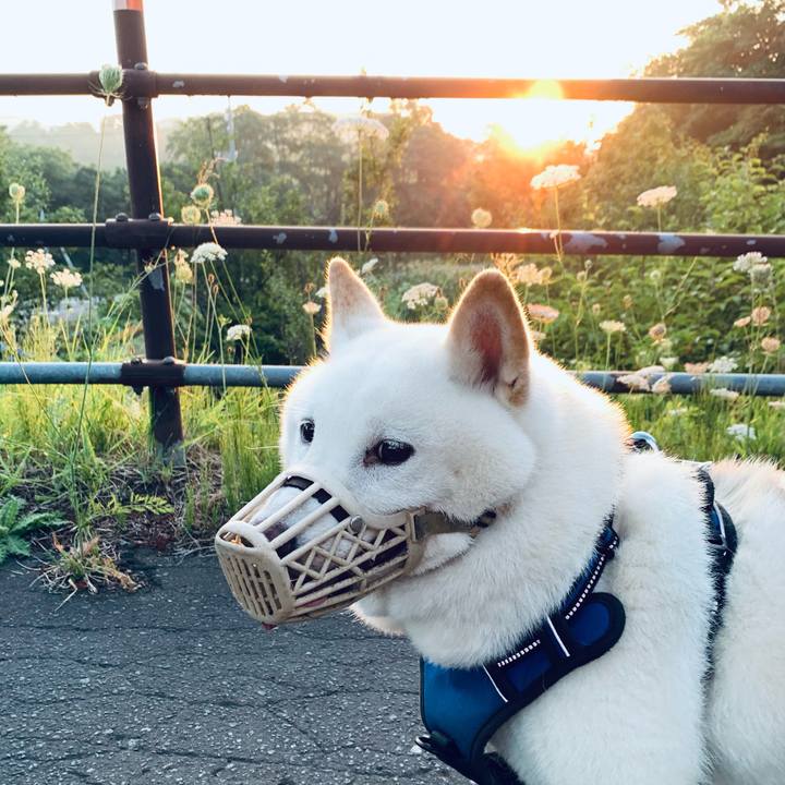 876984bc c62e 4b5a a738 c9b1109785fe 1628195381572