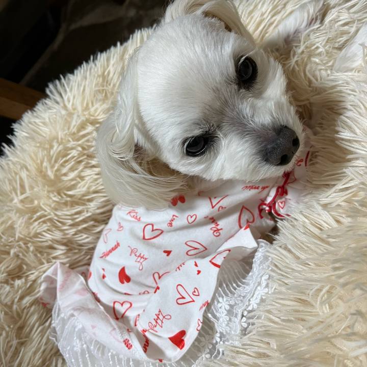 87698eb1 e5bc 4258 9bf9 9493e37df4c7 1679484108030