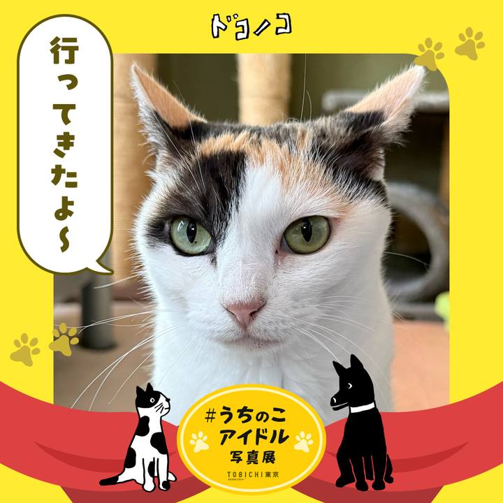 8769a997 1363 42fd a59c 66979b444e24 1761101665368